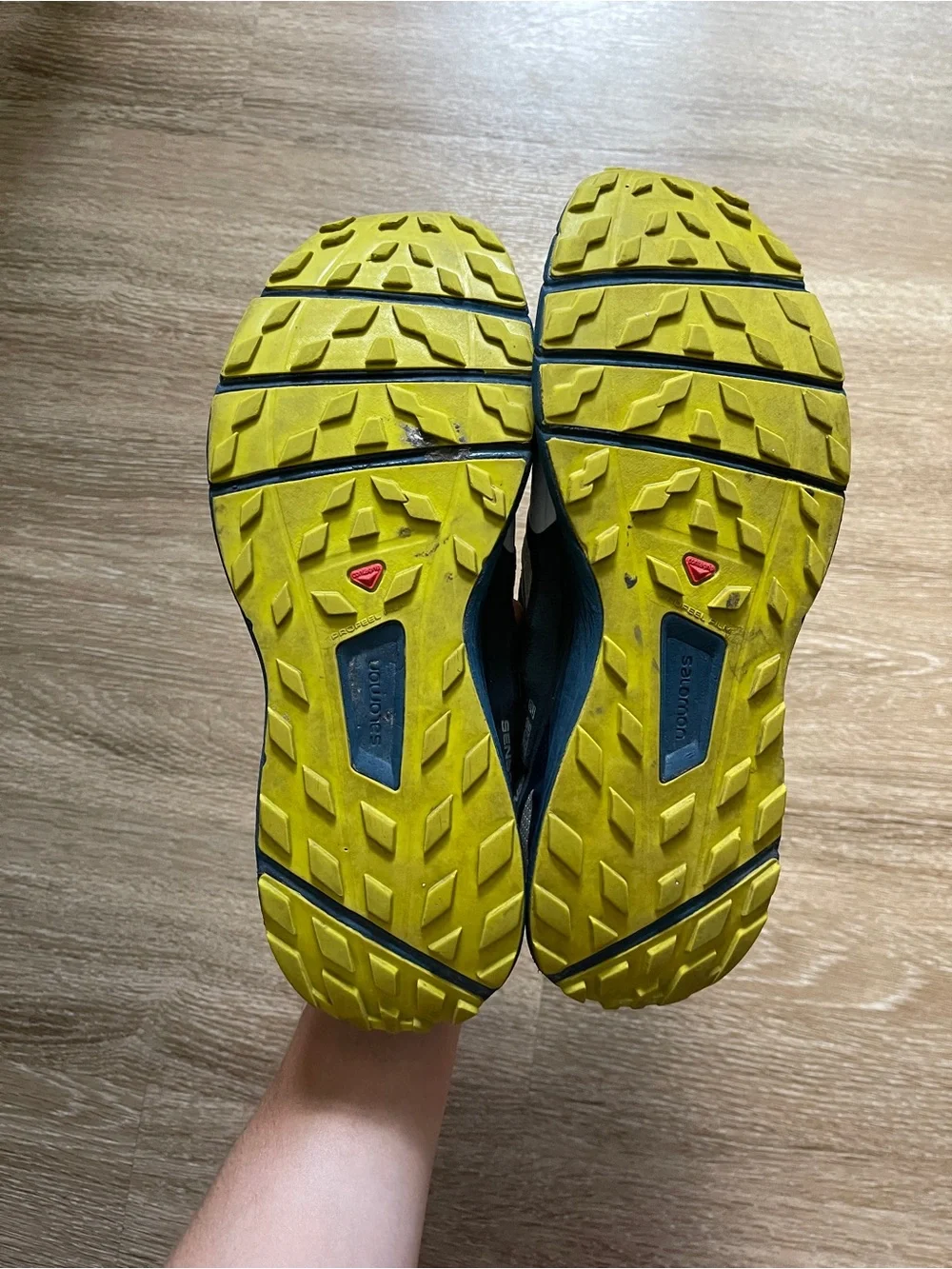 Salomon Sense Ride 2